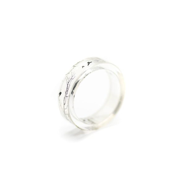 inel transparent rasina